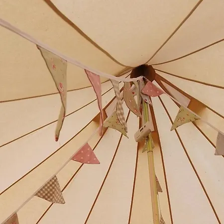 Willow 6M Xl Bell Tent Liverton