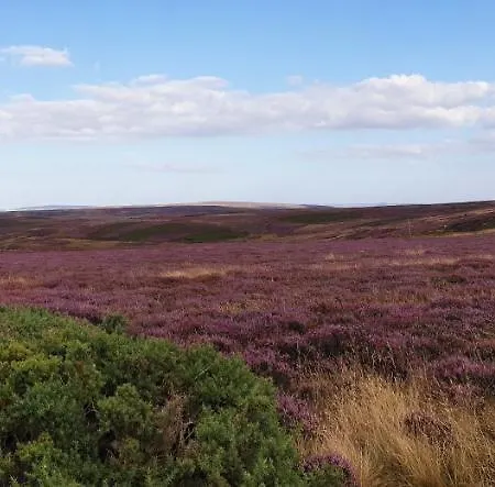 6m Xl Bell Tent Near Whitby With Log Burner بيت للعطل